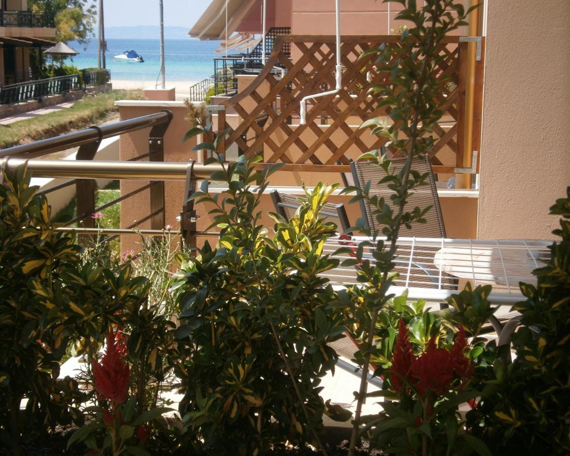 Dafni'S Seaside Luxury Studios Nikiti  Dış mekan fotoğraf